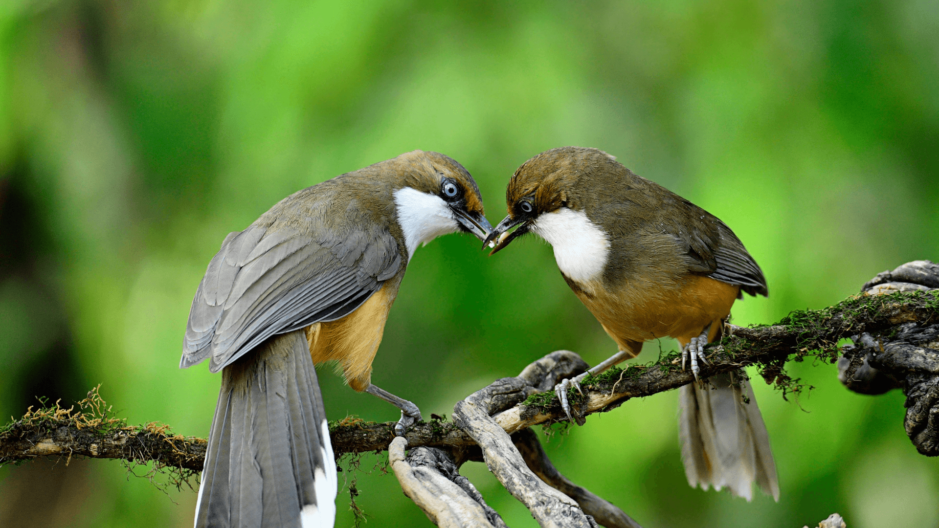 Best Photographers In India: Capturing The Soul Of The Nation