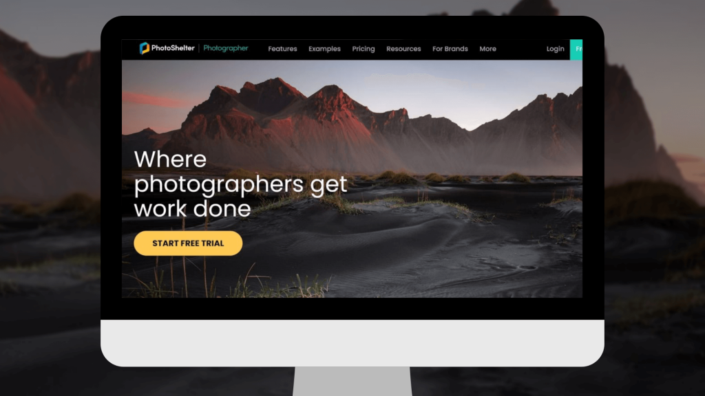 photoshelter best photo sharing sites for photographers